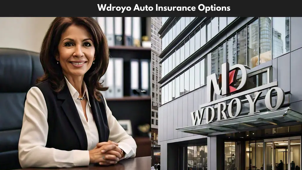 Wdroyo Auto Insurance Options